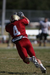 爱游戏大厅官网-德甲球队休赛期集训方式对开局表现影响，德甲青训规则